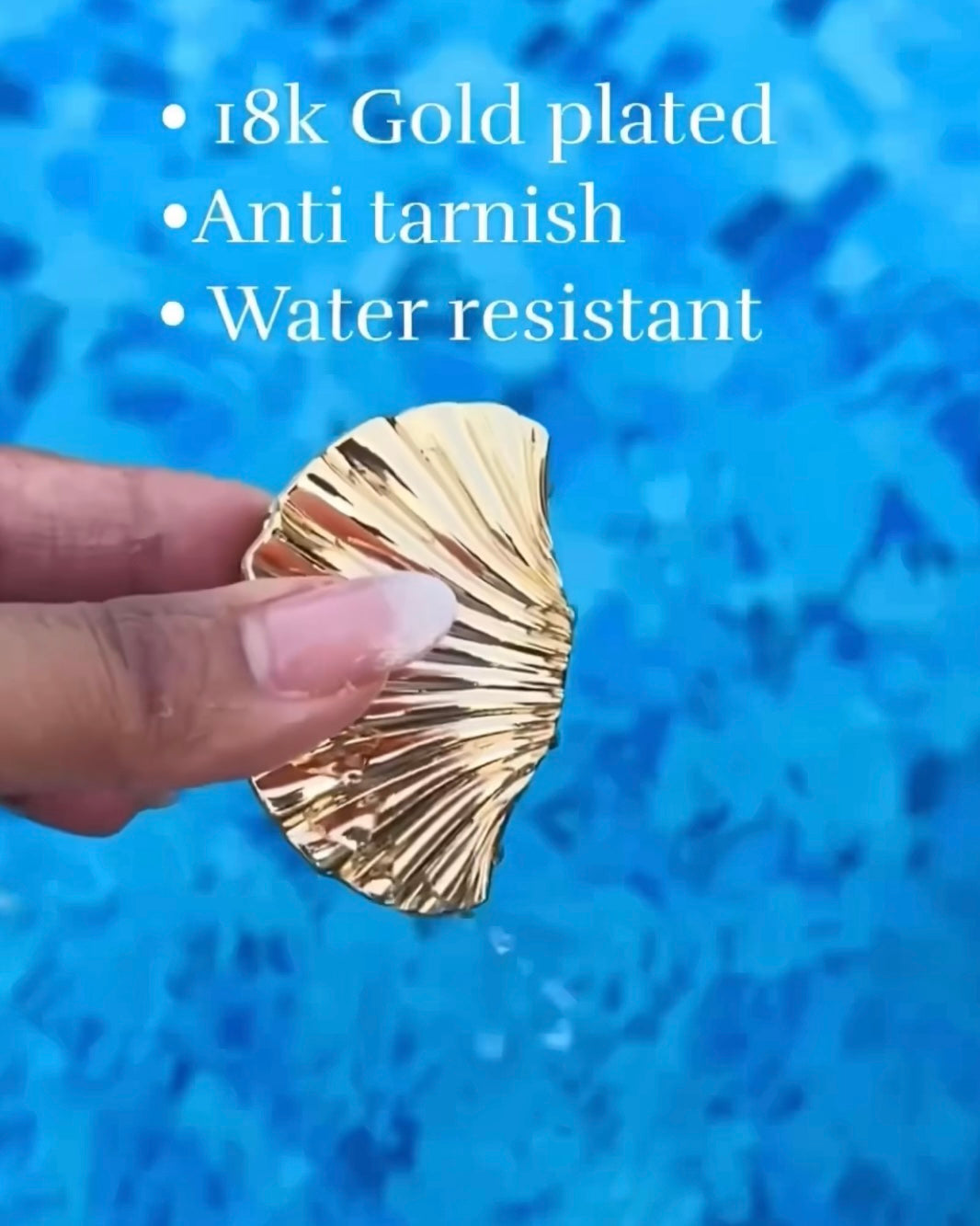 Shell Claw Clip
