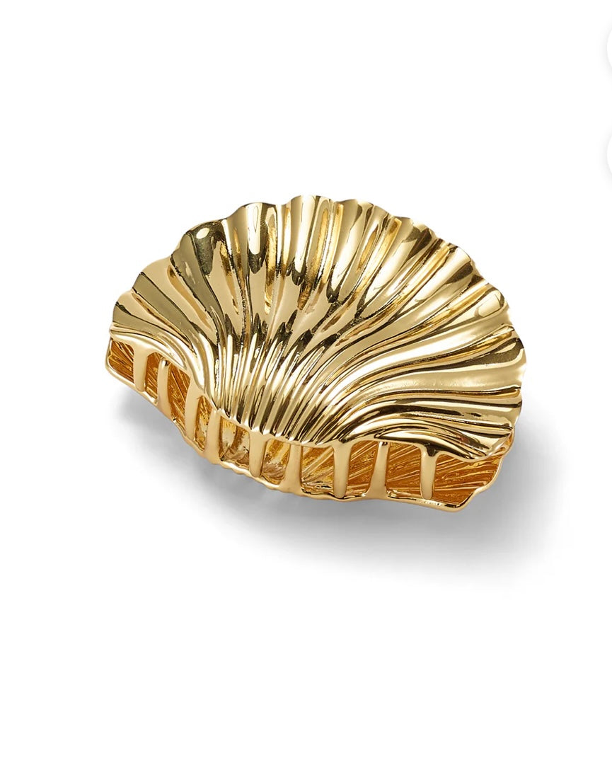 Shell Claw Clip