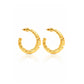 Dasha Hoops