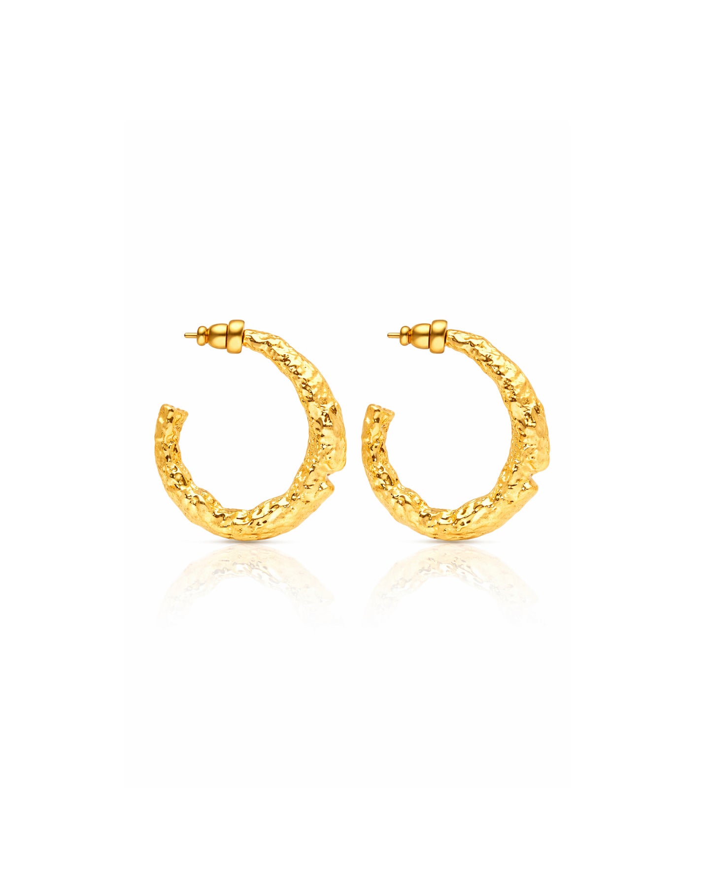 Dasha Hoops